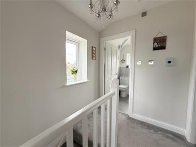 Picture 20